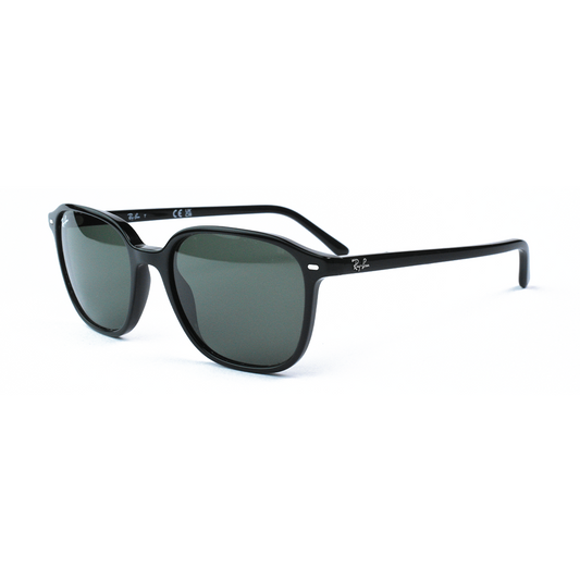 Rayban RB 2193 901/31